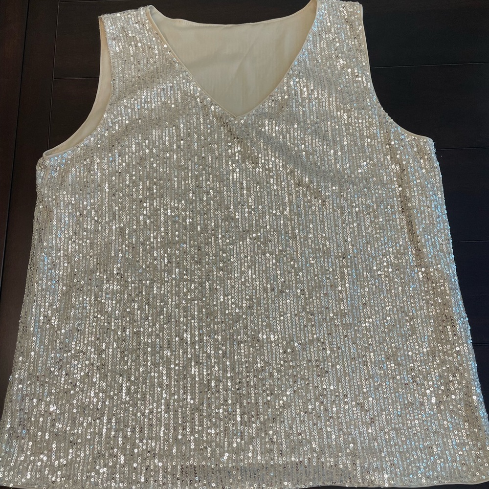 Elegant Silver Sequin V-Neck Blouse